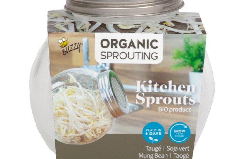 Sprouting glass jar with seeds to sprout