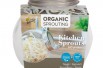 Sprouting glass jar with seeds to sprout