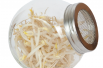Sprouting glass jar with seeds to sprout