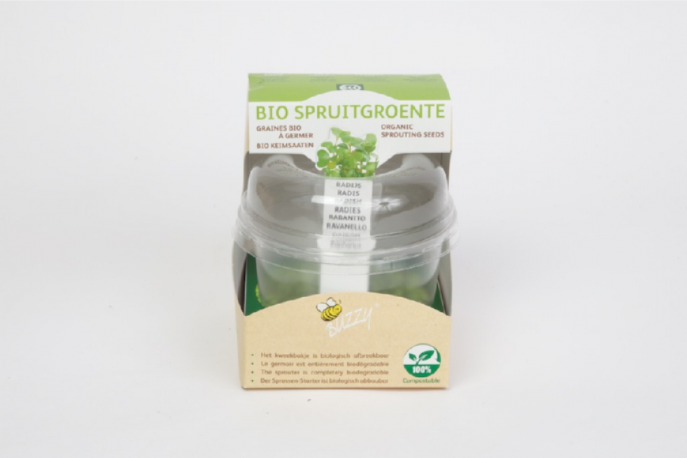 Spruitgroente Kweekset Radijs