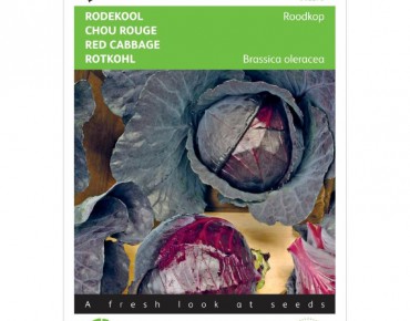 Rotkohl Schwantzkopf