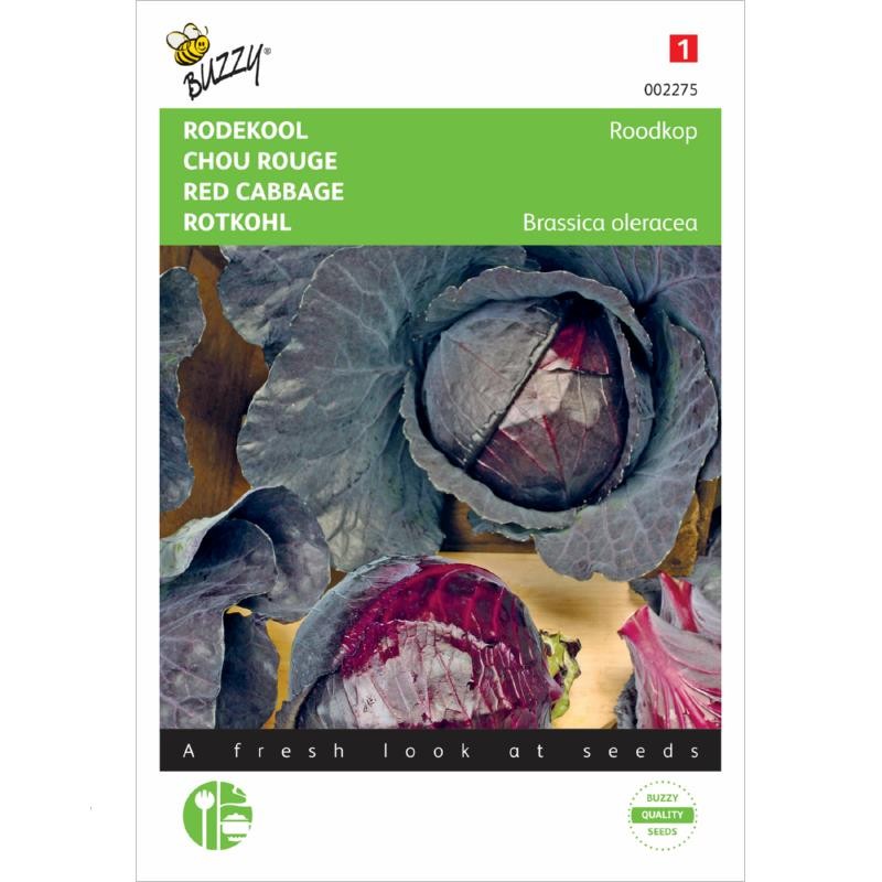 Chou rouge tête noire