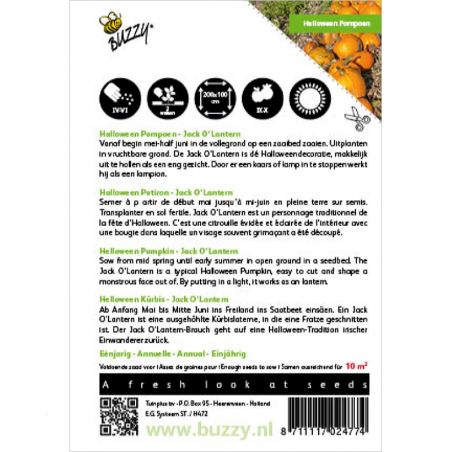 Zaden Halloween Pompoen Jack O'Lantern - Cucurbita pepo