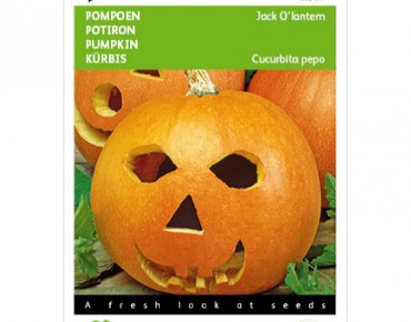 Citrouille Jack O Lanterne