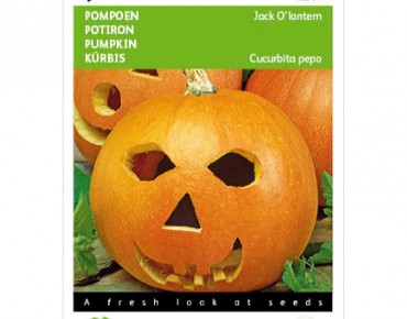 Haloween Pumpkin Jack O Lantern