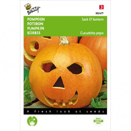Seeds Haloween Pumpkin Jack O Lantern - Cucurbita pepo
