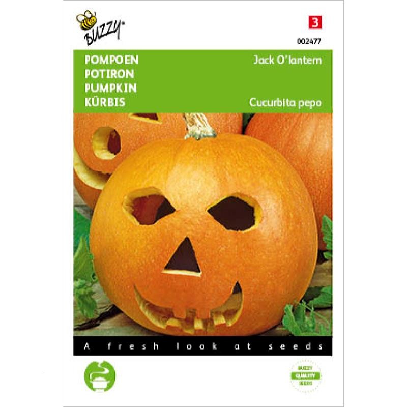 Halloween Pompoen Jack O'Lantern