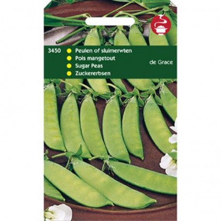 Seeds Sugar Peas - Pisum sativum