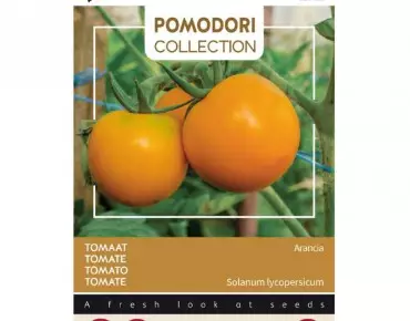 Tomate Arancia