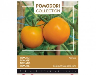 Tomato Arancia