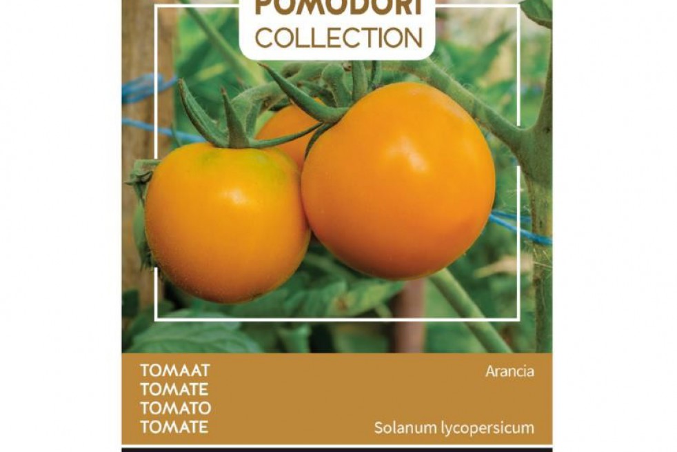 Tomate Arancia