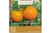 Tomato Arancia