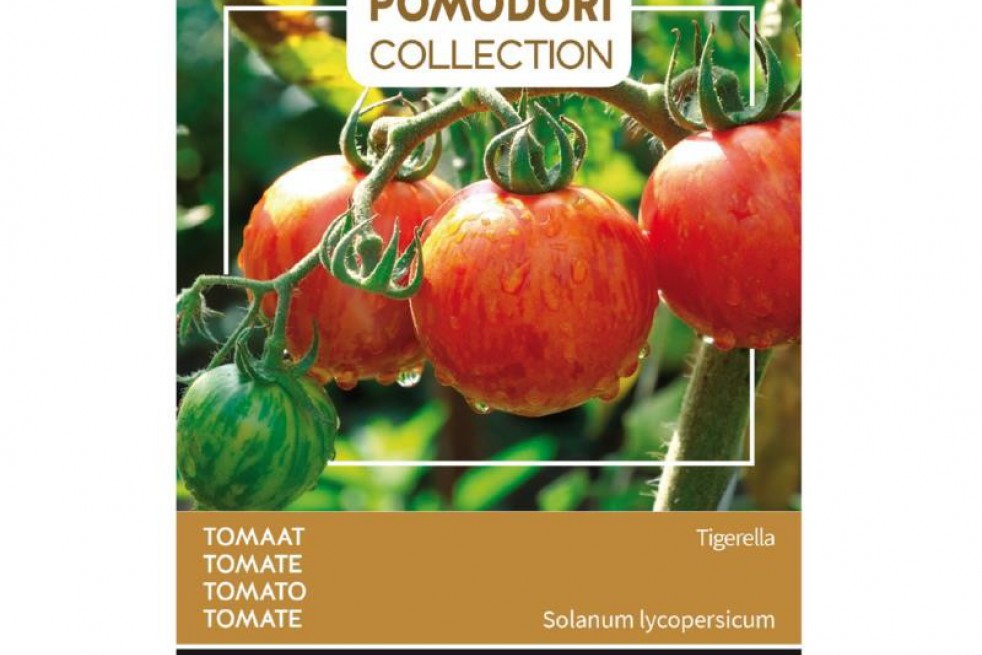 Tomate Tigerella Tomate Tigerella