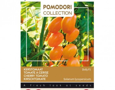 Tomate cerise Dolly