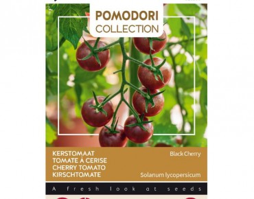 Tomate cerise Black Cherry