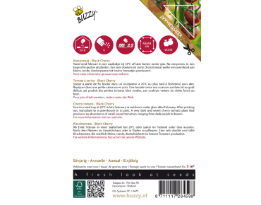 Tomate cerise Black Cherry