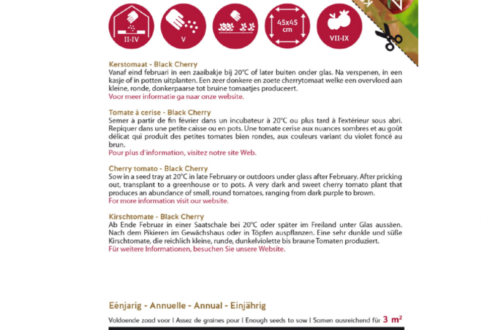 Tomate cerise Black Cherry Tomate cerise Black Cherry