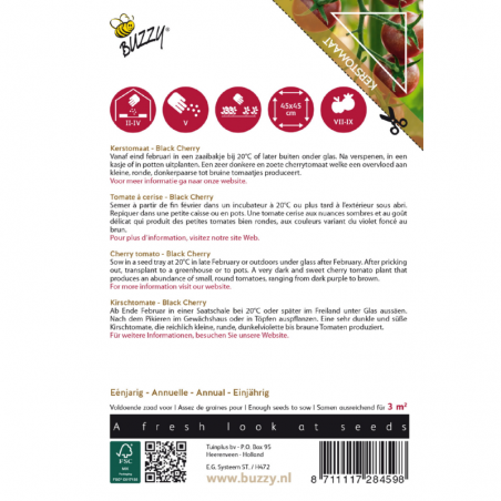 Tomate cerise Black Cherry