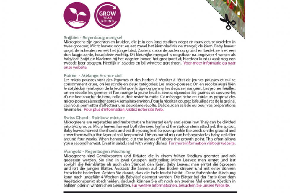 Swiss Chard - Rainbow mixture Swiss Chard - Rainbow mixture