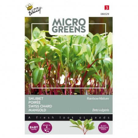 Swiss Chard - Rainbow mixture