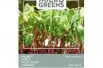 Swiss Chard - Rainbow mixture