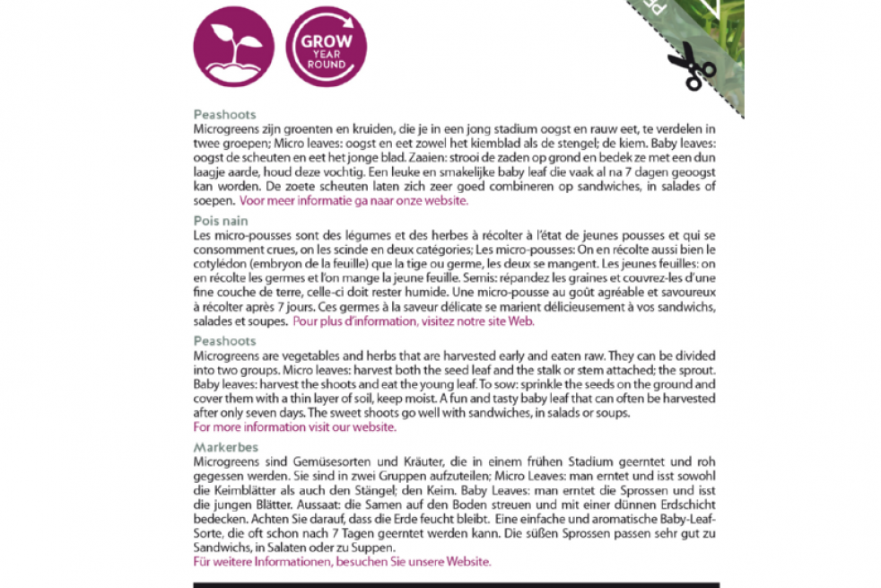 Sprouting Peashoots Sprouting Peashoots