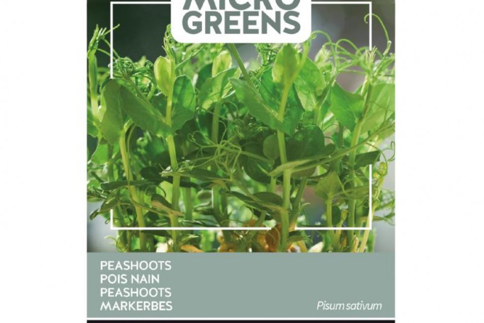 Sprouting Peashoots