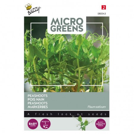 Sprouting Peashoots