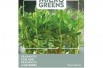 Sprouting Peashoots