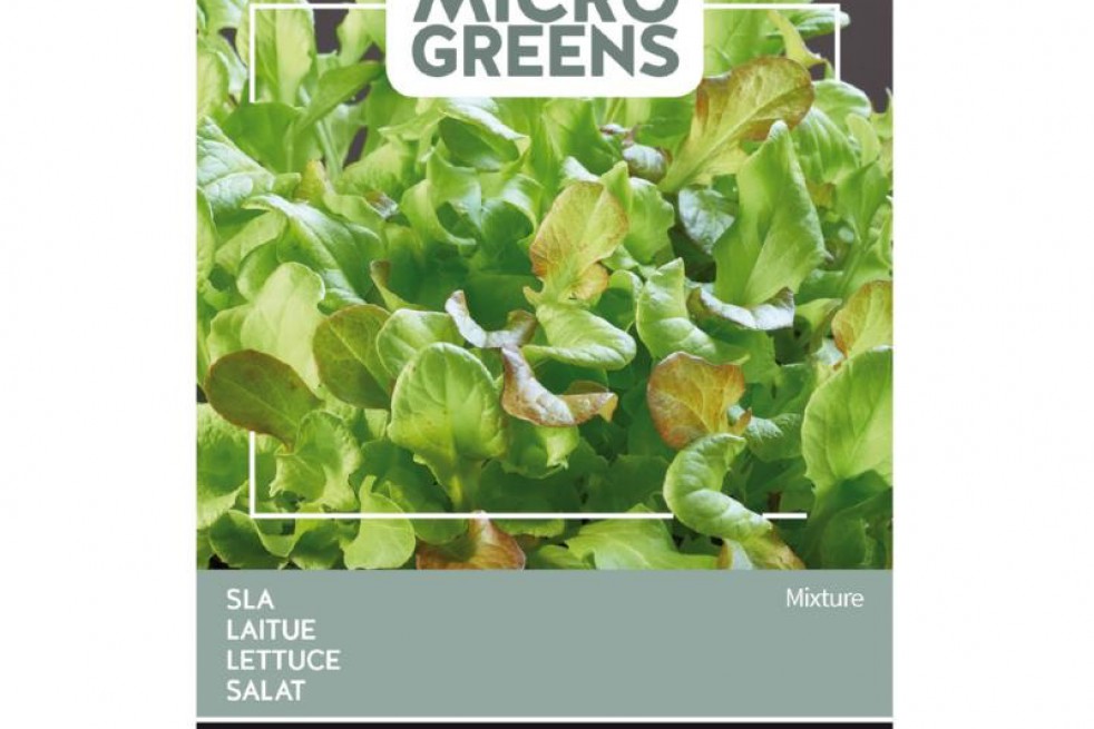 Mixed lettuce