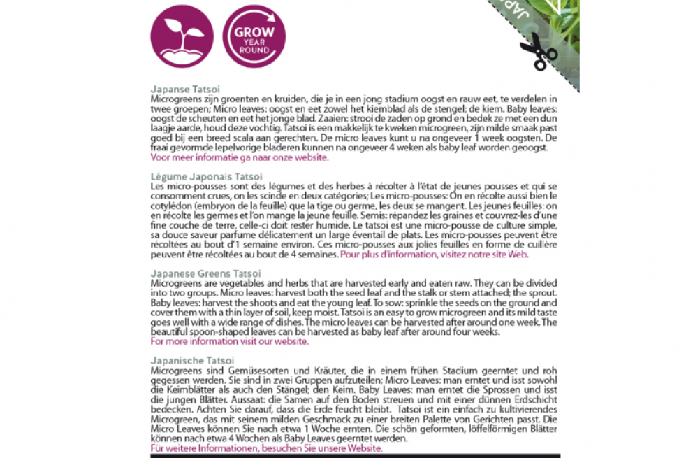 Tatsoi - Légume japonais