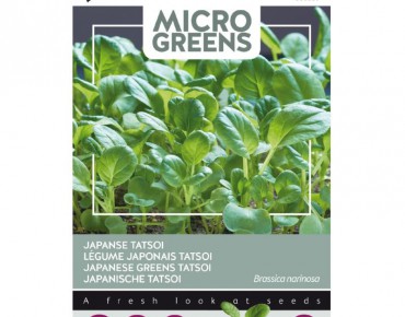 Tatsoi - Japanse groente