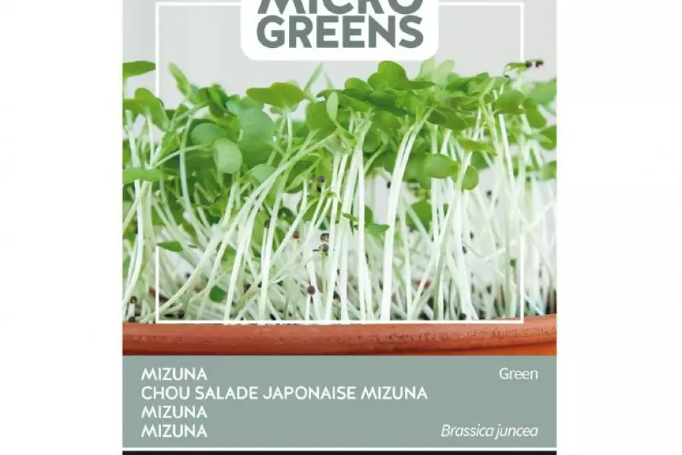 Mizuna Groen