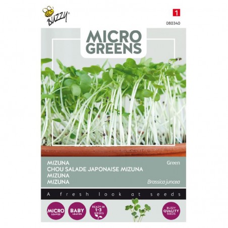 Mizuna Groen