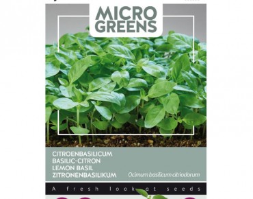 Citroenbasilicum