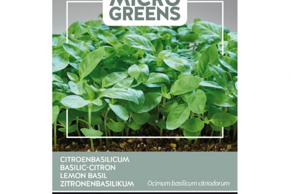 Lemon Basil