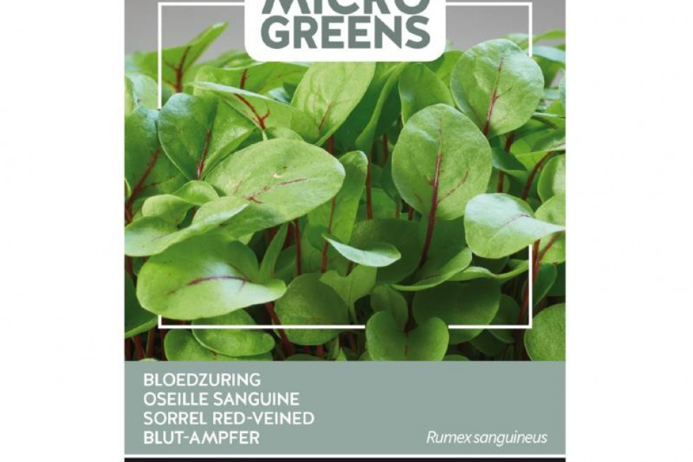 Sorrel Red-Veined