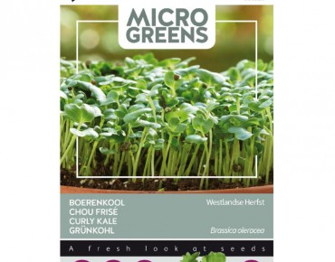 Boerenkool Westlandse Herfst