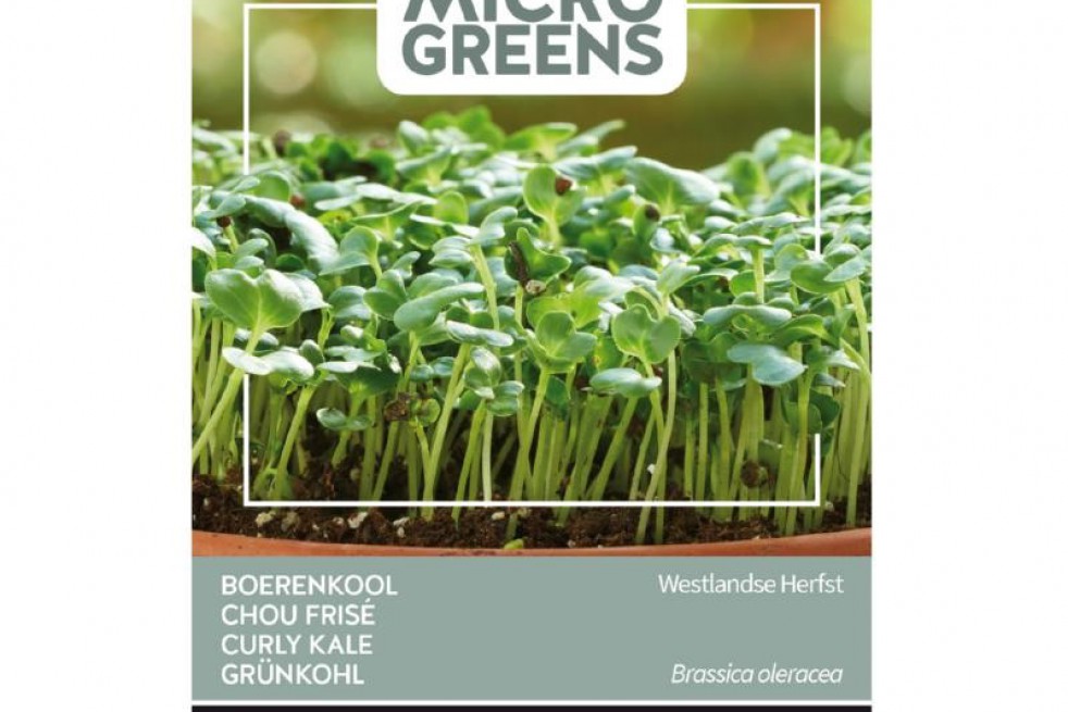 Boerenkool Westlandse Herfst Boerenkool Westlandse Herfst