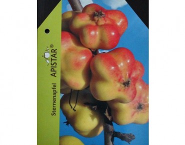 Apistar® apple tree