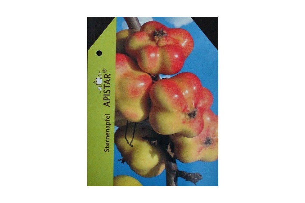 Apistar® apple tree