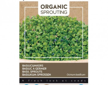 Basil to sprout, Organic