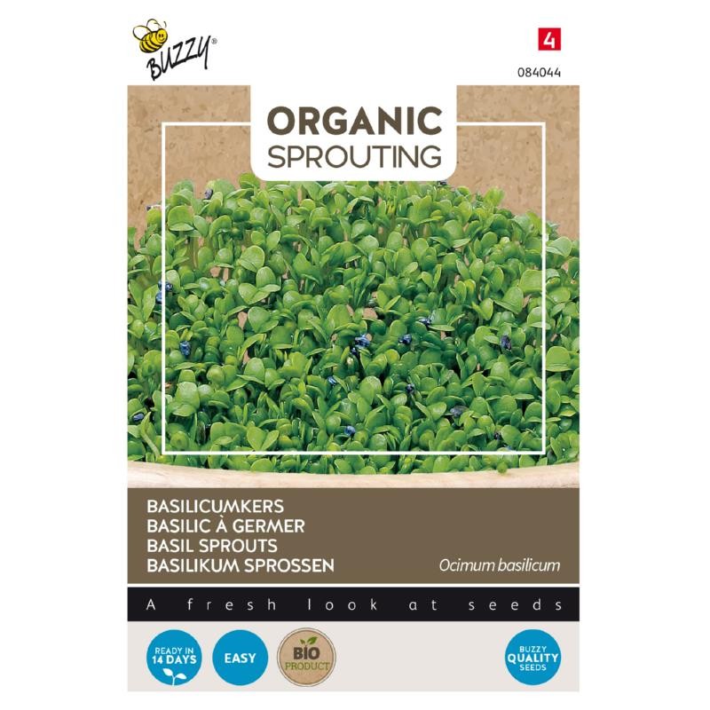 Basil to sprout, Organic