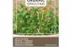 Brocoli à germer BIO