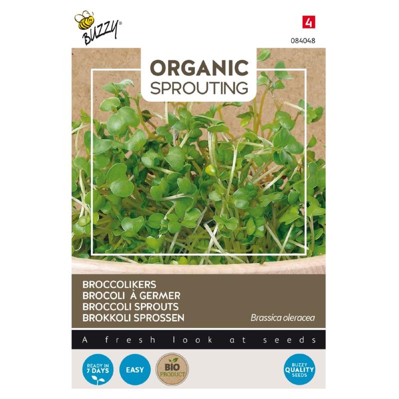 Brocoli à germer BIO