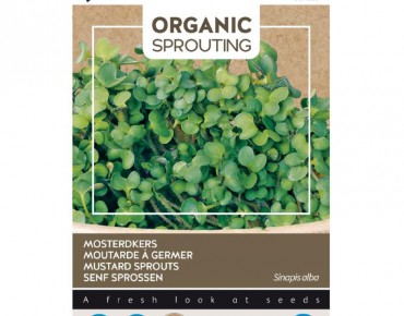 Mustard to sprout, organic