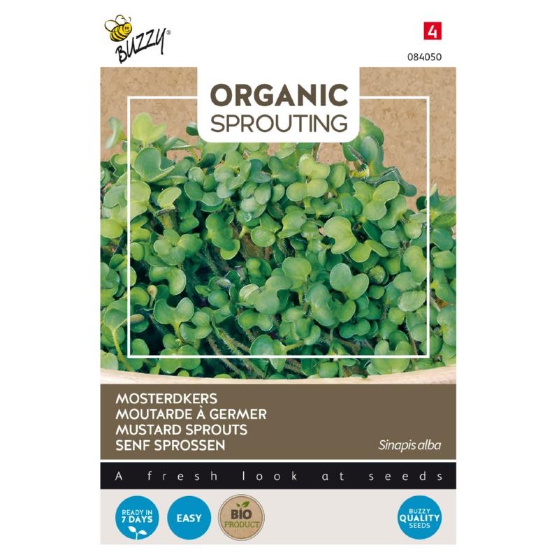 Mustard to sprout, organic