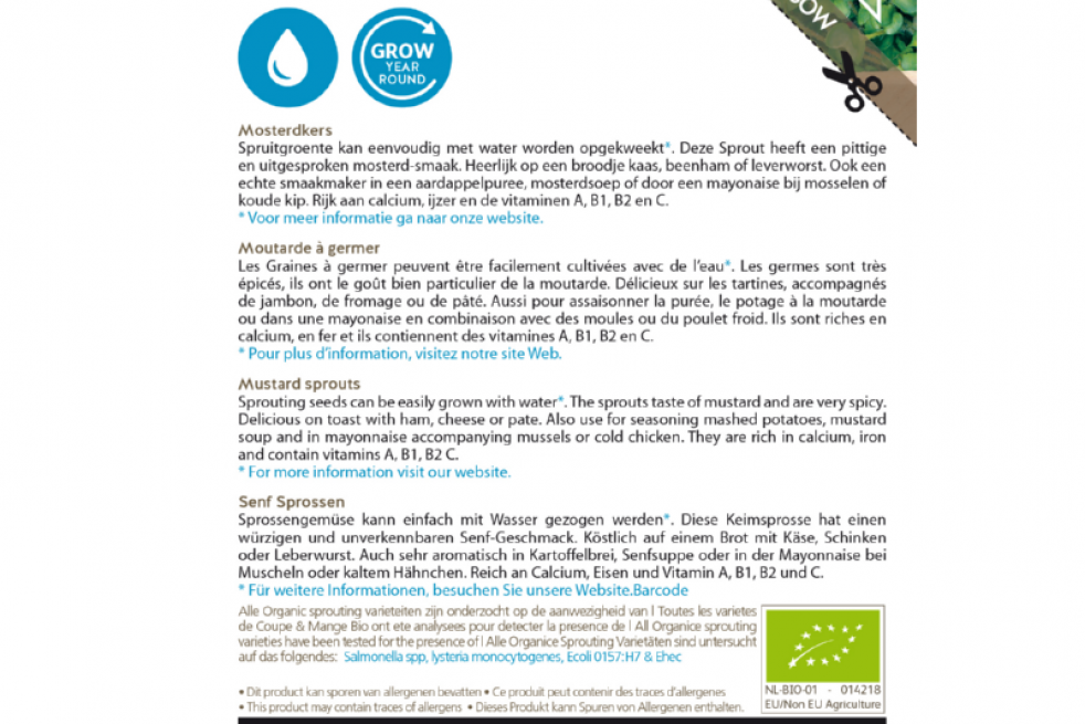 Moutarde à germer, BIO