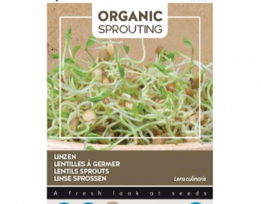 Linzen to sprout, organic