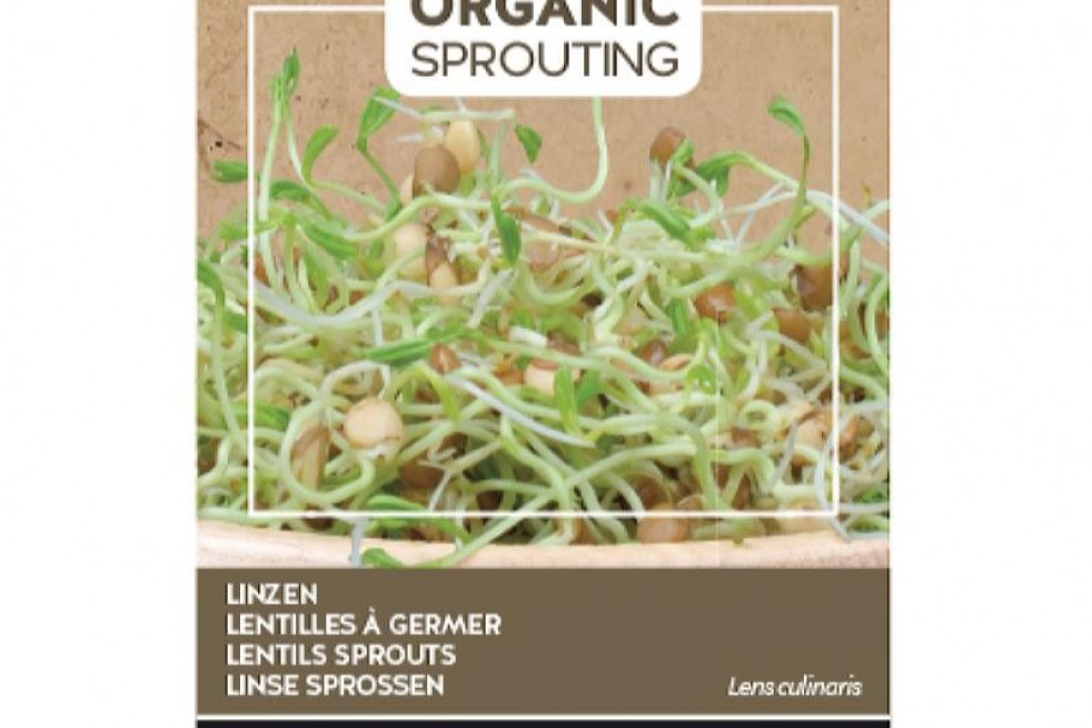 Lentilles à germer, BIO